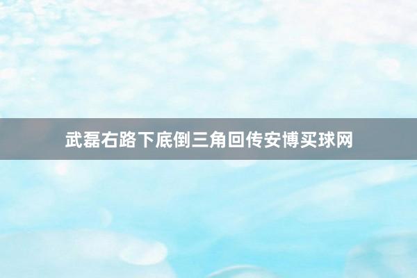 武磊右路下底倒三角回传安博买球网