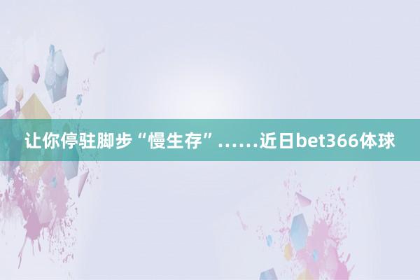 让你停驻脚步“慢生存”……近日bet366体球