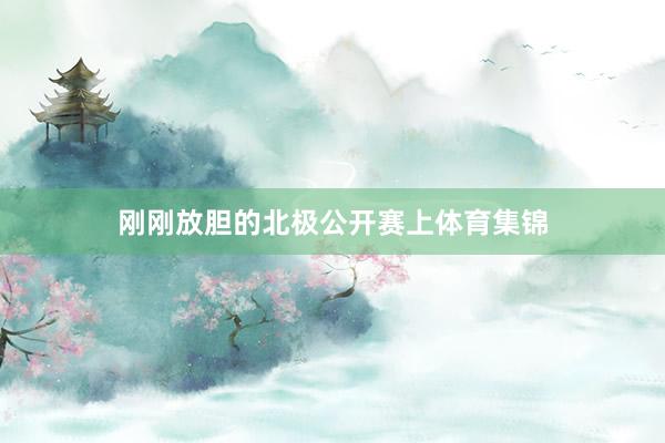 刚刚放胆的北极公开赛上体育集锦