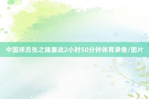 中国球员张之臻鏖战2小时50分钟体育录像/图片