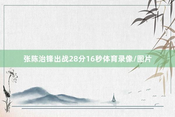 张陈治锋出战28分16秒体育录像/图片