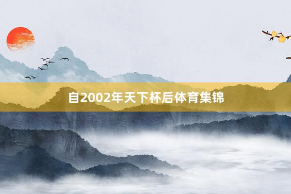 自2002年天下杯后体育集锦