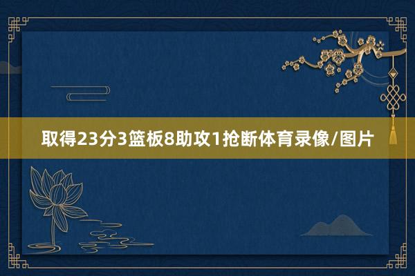 取得23分3篮板8助攻1抢断体育录像/图片