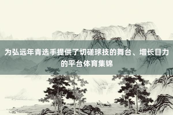 为弘远年青选手提供了切磋球技的舞台、增长目力的平台体育集锦