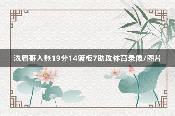 浓眉哥入账19分14篮板7助攻体育录像/图片