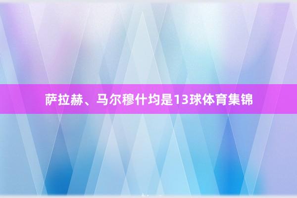 萨拉赫、马尔穆什均是13球体育集锦