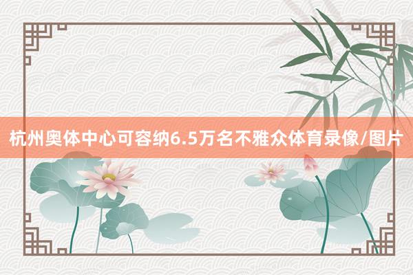 杭州奥体中心可容纳6.5万名不雅众体育录像/图片