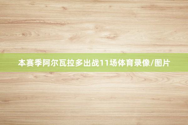 本赛季阿尔瓦拉多出战11场体育录像/图片