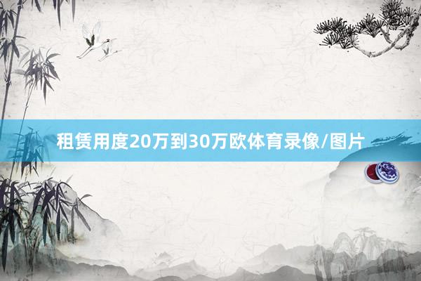 租赁用度20万到30万欧体育录像/图片